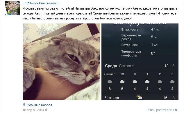 Кот Бонифаций