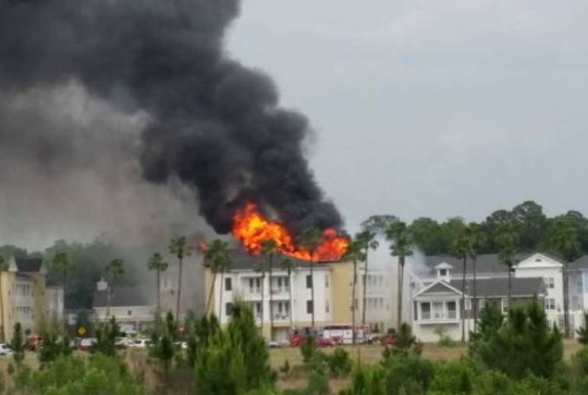 Кот выпрыгнул из окна, чтобы не погибнут при пожаре